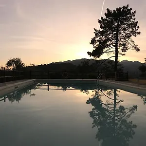 Il Pino San Martino in Freddana