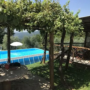 Da Nonna Argia Massa e Cozzile