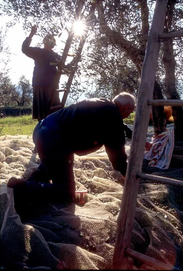 Agriturismo Il Selvino Terricciola