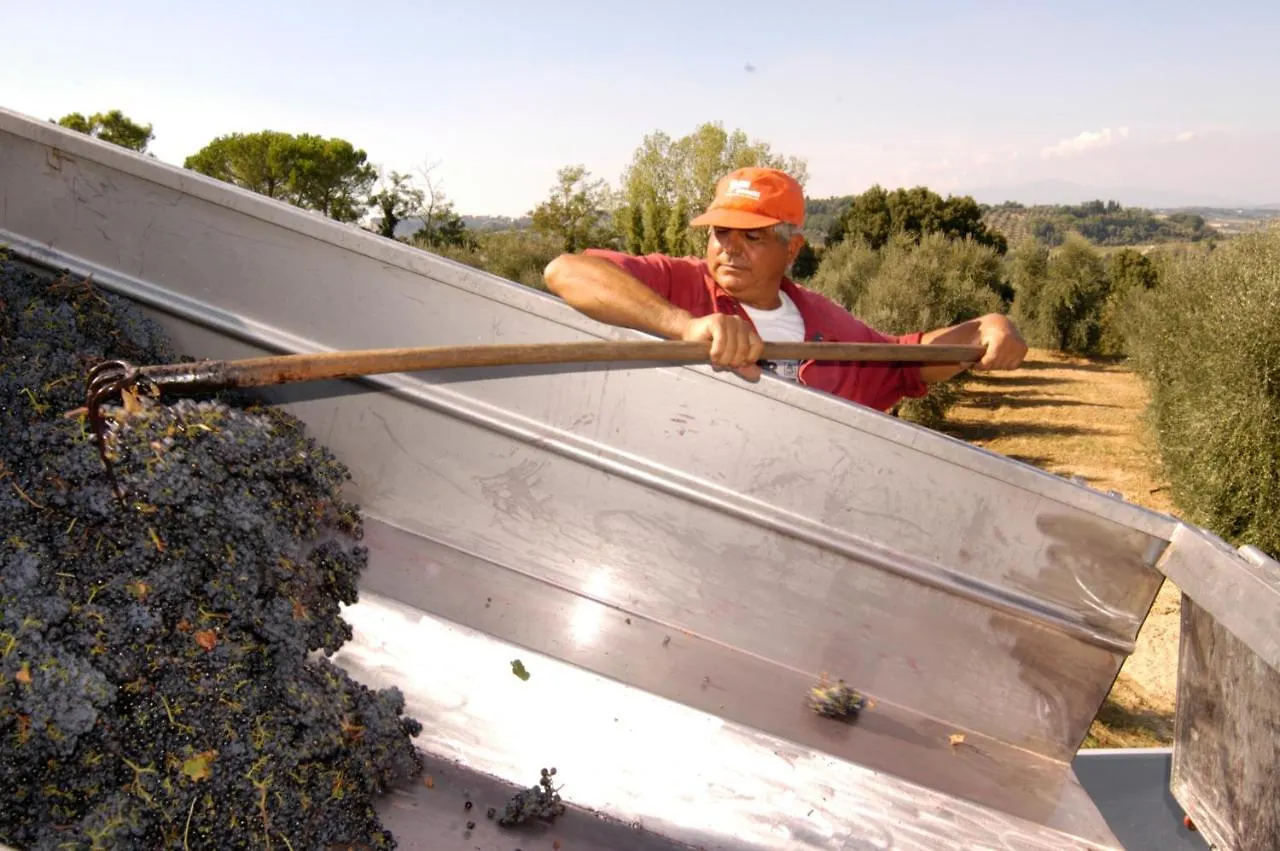 Agriturismo Il Selvino Terricciola 0*,  Italy