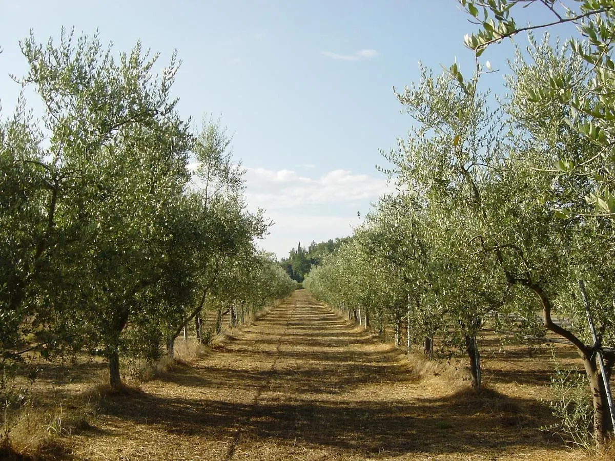 Farm stay Agriturismo Il Selvino Terricciola
